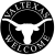 logo Basket Valtexas